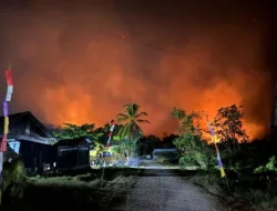 Kebakaran Hutan Kalimantan 2026: Perumahan Terkepung, 11 Rumah Ludes, dan Siapa yang Harus Bertanggung Jawab?