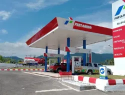 Prabowo Perintahkan Pertamina dan PLN Pangkas Anak-Cucu Perusahaan, Target BUMN Lebih Lincah