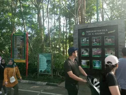 Wana Wisata Tahura Dago Goa Jepang