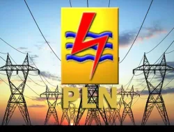 Di Tengah Gelombang Utang Jatuh Tempo, Skema ‘PLN Family’: Antara Restrukturisasi atau Risiko Baru?