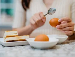 Makan Telur Setiap Hari, Sehatkah? Ini Kata Penelitian Terbaru