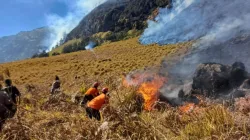 Kebakaran Bromo Meluas Capai 742 Hektare, Pemadaman Terkendala Medan dan Cuaca