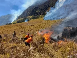 Kebakaran Bromo Meluas Capai 742 Hektare, Pemadaman Terkendala Medan dan Cuaca