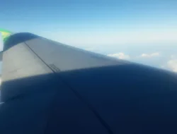 Citilink Untung Garuda Rugi: Fenomena Dua Wajah BUMN Penerbangan di 2026